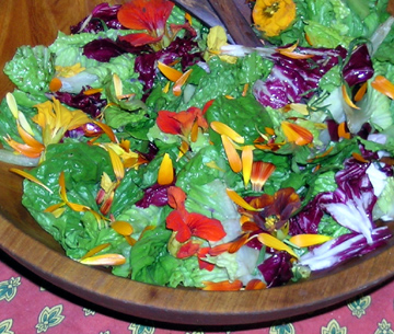 Salad with Edible Flowers